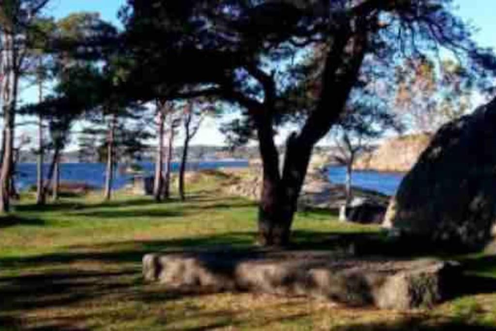 Idyllisk Lite Anneks Med Enestaende Uteplass Larvik Exterior photo